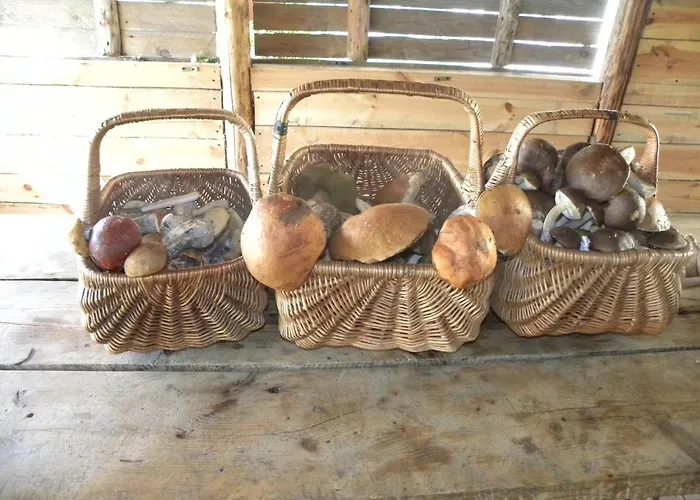 Stajnia Grazyny Mikorowo 46 Фермерский дом *