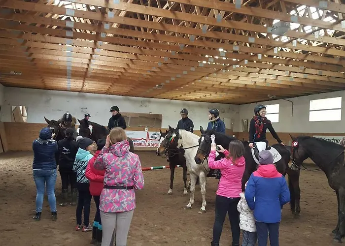 Stajnia Grazyny Mikorowo 46 Фермерский дом *