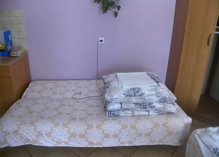 Stajnia Grazyny Mikorowo 46 *