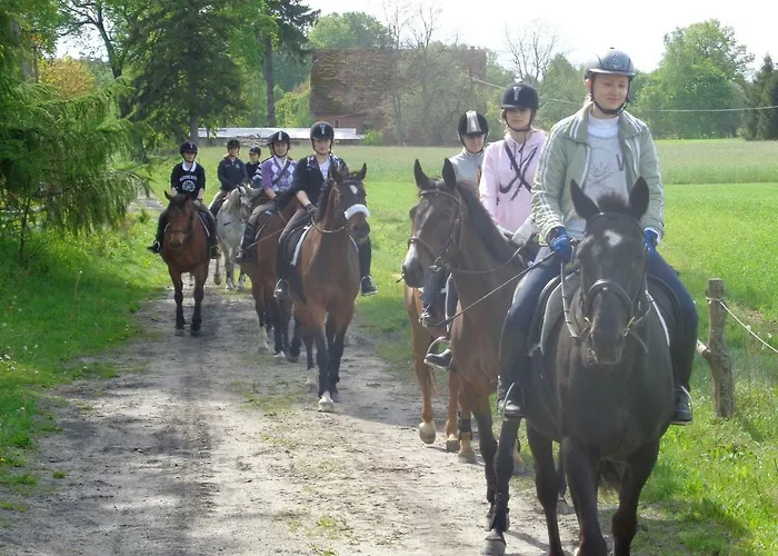 Stajnia Grazyny Mikorowo 46 Фермерский дом