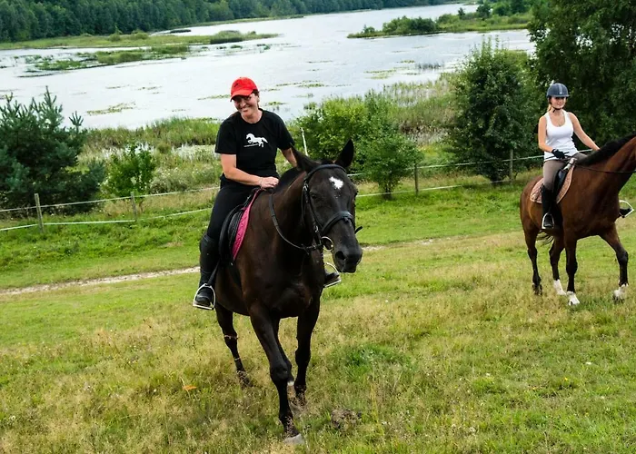 Stajnia Grazyny Mikorowo 46 Czarna Dabrowka
