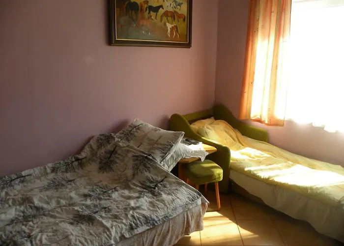 Stajnia Grazyny Mikorowo 46 *