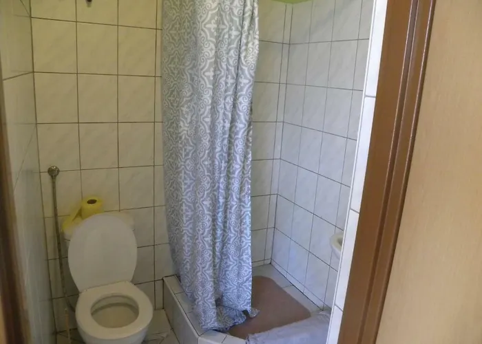 Stajnia Grazyny Mikorowo 46 * Czarna Dabrowka