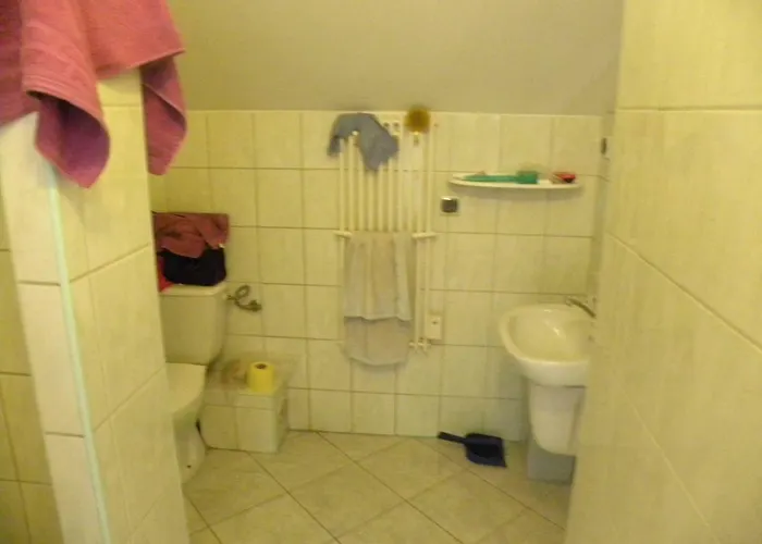 Stajnia Grazyny Mikorowo 46 * Czarna Dabrowka